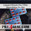 Léopard Miracle Des Effets Secondaires Du Miel 05